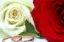 Idee Regalo Momenti Speciali Anniversario - Demo 2